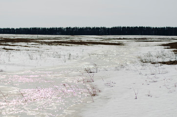 snow melting and melt water in the field in spring