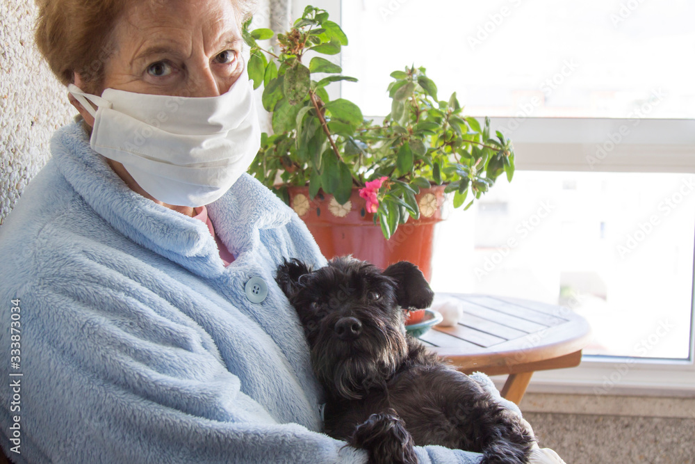 Portrait of senior woman with disposable medical mask and her dog. Safety in public places during the coronavirus outbreak. - obrazy, fototapety, plakaty 