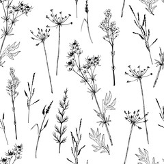 Wall Mural - Seamless pattern with wild plants, herbs and flowers.