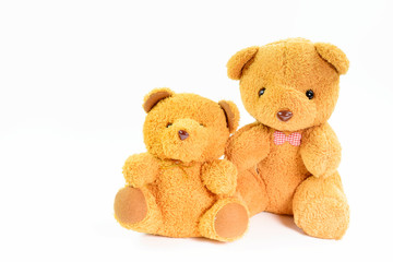 Two teddy bears on a white background