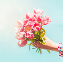 Female Hand Holding Pink Tulips Bunch At Blue Sky Background With Sunlight. Close Up. Creative Greeting. Mothers Day Concept. Springtime Abstract