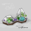 Cactus and succulent inside the double geometrical terrarium (florarium). Vector illustration.