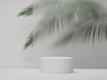 3D White Podium Display With Palm Tree Leaves Behind Frosted Glass. Trendy Platform For Product Promotion. Modern Exotic Banner Mockup, Beauty 3D Render Illustration