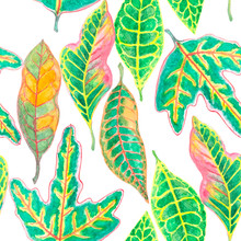 Watercolor Painting Illustration Colorful Leaves Of Croton Plant, Seamless Pattern Of Variegated Leaf Isolated Die Cut With Clipping Path On White Background, Element For Fabric Textiles Wallpaper