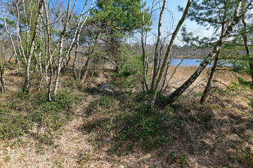 Sticker - Wanderweg im Venner Moor bei Münster - Hiking trail in the Venner Moor near Münster