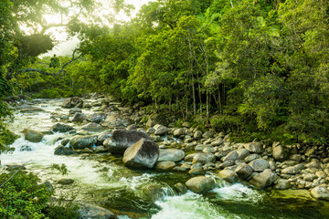 mossman gorge - river in daintree national park, north queensland, australia