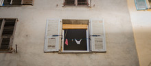 Hang Laundry Underwear On A Window
