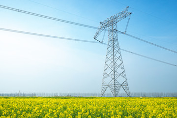 High voltage transmission tower in rape field