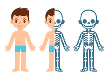 Cartoon Boy Skeleton