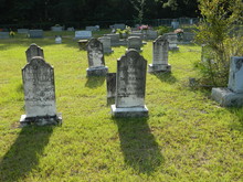 Cemetery 8