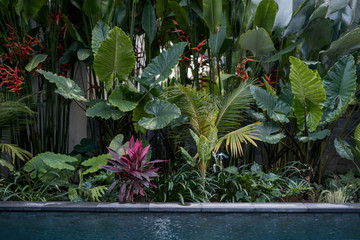 Swimming pool with outdoors at sunny day