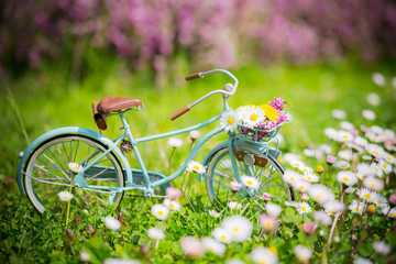 bicycle model set in flowery meadow