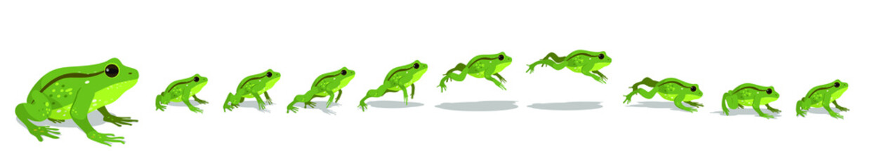 Wall Mural - Frog jumping animation  sequence. Vector illustration.