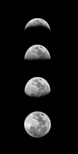 Fases Lunares, Poster Vertical. Luna, Fondo Negro