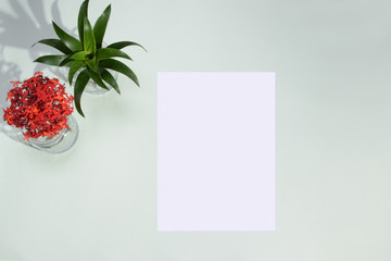 PLANT POT ON WHITE BACKGROUND TOP VIEW LIKE AN OFFICE DESK WITH EMPTY PAPER