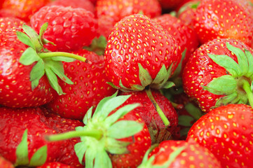 Wall Mural - many tasty fresh strawberries background