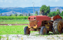 Antique Rusty Broken Tractor Abandoned On Backyard Almost Overgrown By Grass