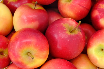 New Zealand apple on wooden background