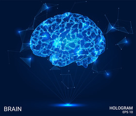 Wall Mural - the hologram of the brain. the brain consists of polygons, triangles of points and lines. the brain 