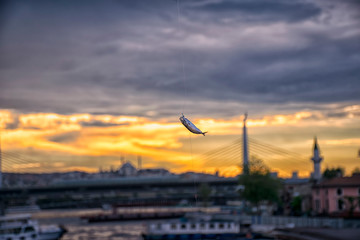  Fish that hang on the fishing rod with reverse light image during the sunset