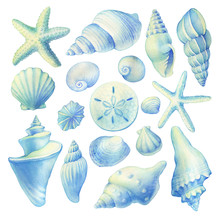 Set Of Blue Seashells And Starfish, Marine Design. Watercolor Hand Drawn Painting Illustration Isolated On White Background.