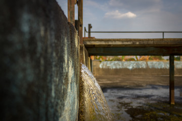 Wall Mural - old wooden bridge