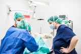 Fototapeta  - Young female veterinarian team, preparing a dog at operating room for surgery. Animals healthcare concept .