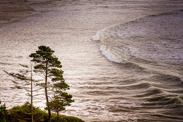 Wall Mural - Oregon coast Pacific Ocean Newport