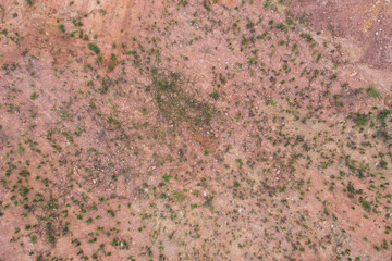 Wall Mural - Aerial view overgrown wasteland top view