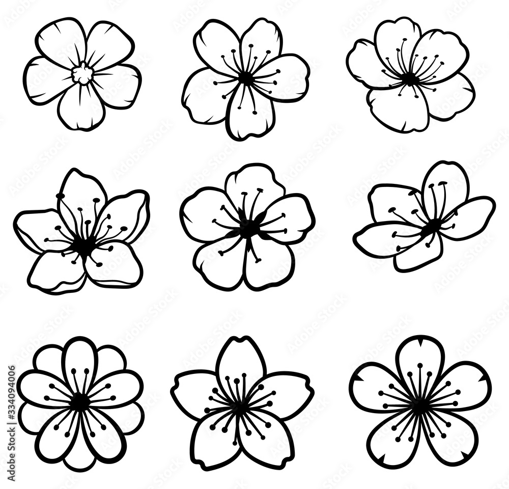 Set of cherry blossoms. Collection of flowers of sakura. Black and white  drawing of spring flowers. Linear Art. Tattoo. Stock Vector | Adobe Stock, image size:1000x960