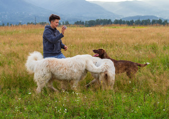 woman with two dogs plays in a meadow