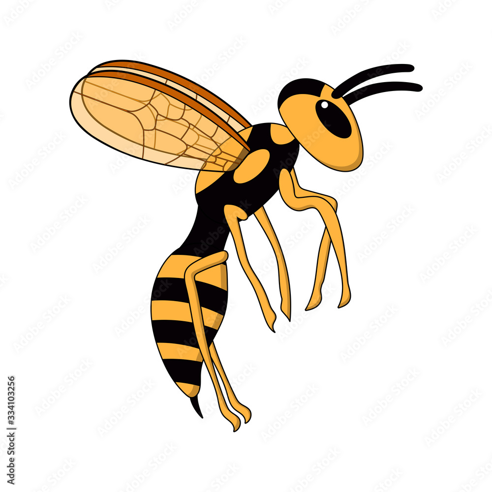Wasp Fly Animation cartoon flying wasp. white background isolated vector illustration ...