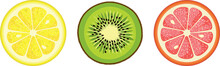 Set Of Kiwi And Citrus Round Slices