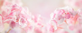 Spring or summer floral composition made of fresh hydrangea flowers on light pastel background. Festive flowers concept with copy space. Soft focus, macro photography.