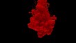 Red ink drops in water and mixes, swirling softly underwater on black background with copy space. Colored acrylic cloud of paint isolated. Colorful abstract smoke explosion animation. Slow motion.