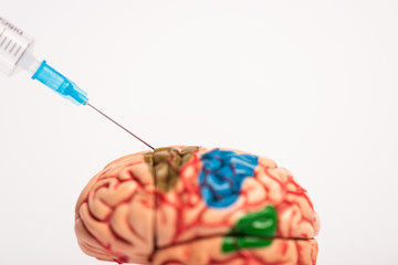 Wall Mural - Selective focus of syringe near brain model isolated on white, alzheimer disease concept