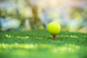 Wall Mural - A golf ball on golf pin green grass with golf course background , green tree sun rays. 