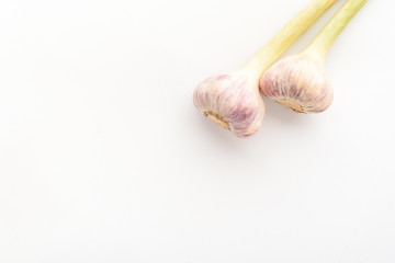 Two garlic with a stem on a white isolated background