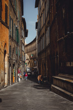 Narrow Street In Sienna, Italy