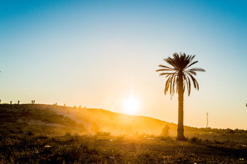 Wall Mural - Sunset in the desert in Tunisia