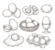© MicroOne - Eggs sketch. Vintage natural egg, broken shell. Hand drawn farming food, animal products. Drawing ingredients, rustic vector illustration. Shell chicken egg, natural sketch yolk fried