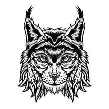 Lynx Head Mascot, Wild Bobcat. 