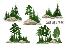 Set Landscapes, Isolated On White Background Coniferous And Deciduous Trees, Flowers And Grass On The Rocks. Vector