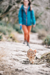 Poster - Woman walking with a cute cat on a leash outdoor.