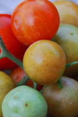 Wall Mural - small fresh cherry tomatoes with green vines