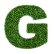 Letter of grass alphabet. Grass letter G isolated on white background. Symbol with the green lawn texture. Eco symbol collection. 3D illustration.