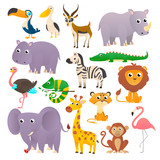 Fototapeta Pokój dzieciecy - Big collection wild animals