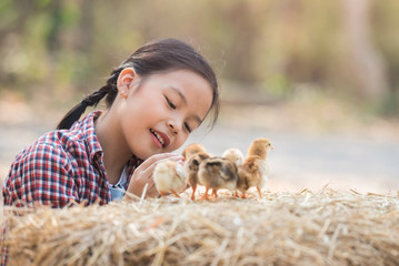 Poster - happy little girl with of small chickens sitting outdoor. portrait of an adorable little girl, preschool or school age, happy child holding a fluffy baby chicks with both hands and smiling..