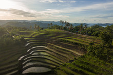 Terraced Rice Fields, Mareje, Lombok, West Nusa Tenggara, Indonesia