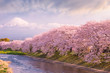 © RooM The Agency - Cherry blossom trees along a river with Mt Fuji in the distance, Honshu, Japan